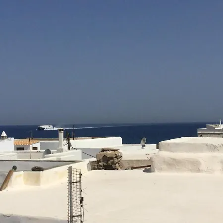 Seagull - By Old Market Street - Naxos Town Naxos City