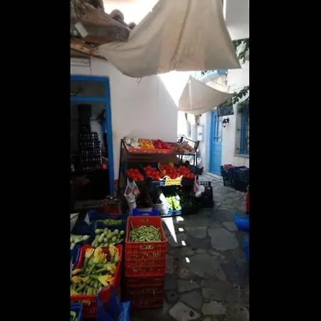 Seagull - By Old Market Street - Naxos Town Naxos City