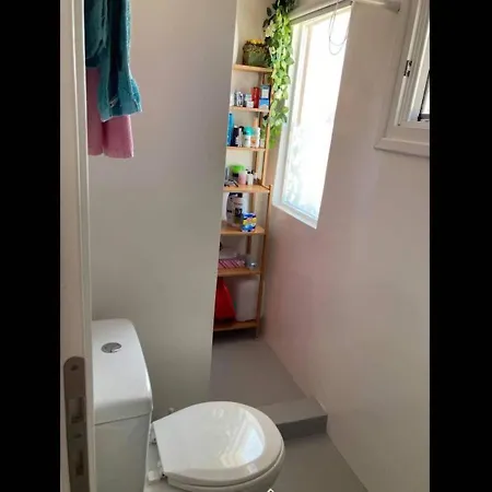 Seagull - By Old Market Street - Naxos Town *