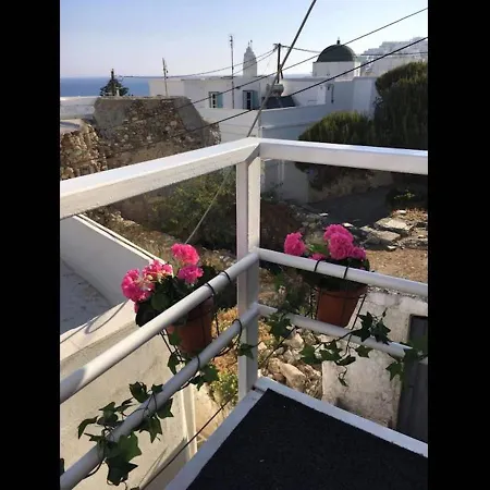 Seagull - By Old Market Street - Naxos Town *