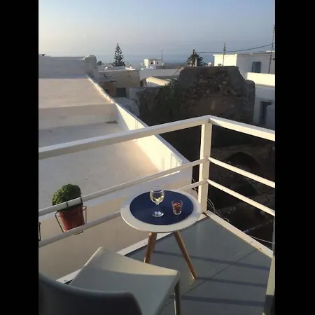 Seagull - By Old Market Street - Naxos Town Naxos City