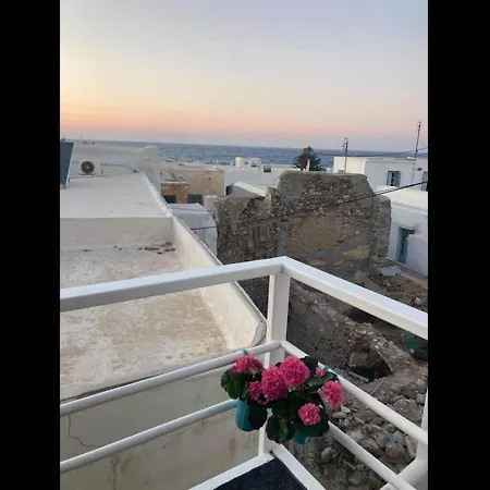 Seagull - By Old Market Street - Naxos Town * Naxos City