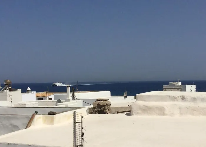 Seagull - By Old Market Street - Naxos Town Naxos City