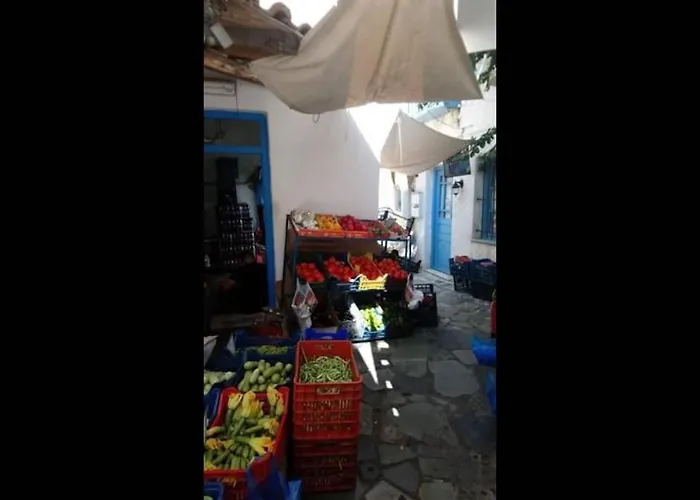 Seagull - By Old Market Street - Naxos Town Naxos City