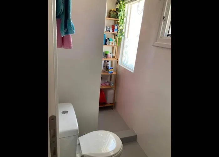 Seagull - By Old Market Street - Naxos Town *