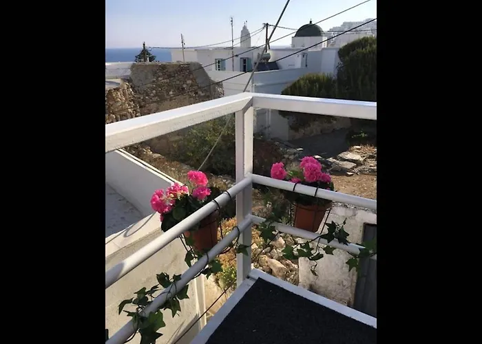Seagull - By Old Market Street - Naxos Town *