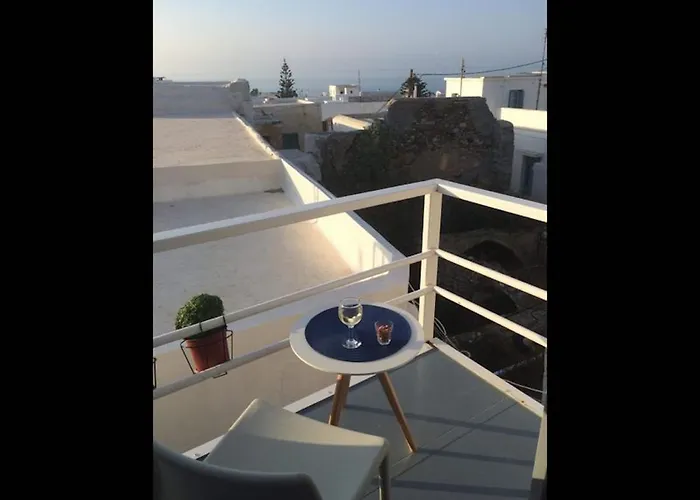 Seagull - By Old Market Street - Naxos Town Naxos City