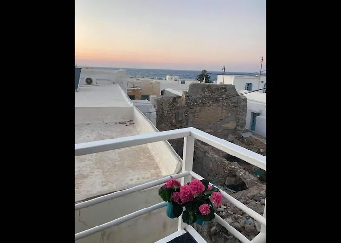 Seagull - By Old Market Street - Naxos Town * Naxos City